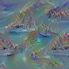 n09428293
